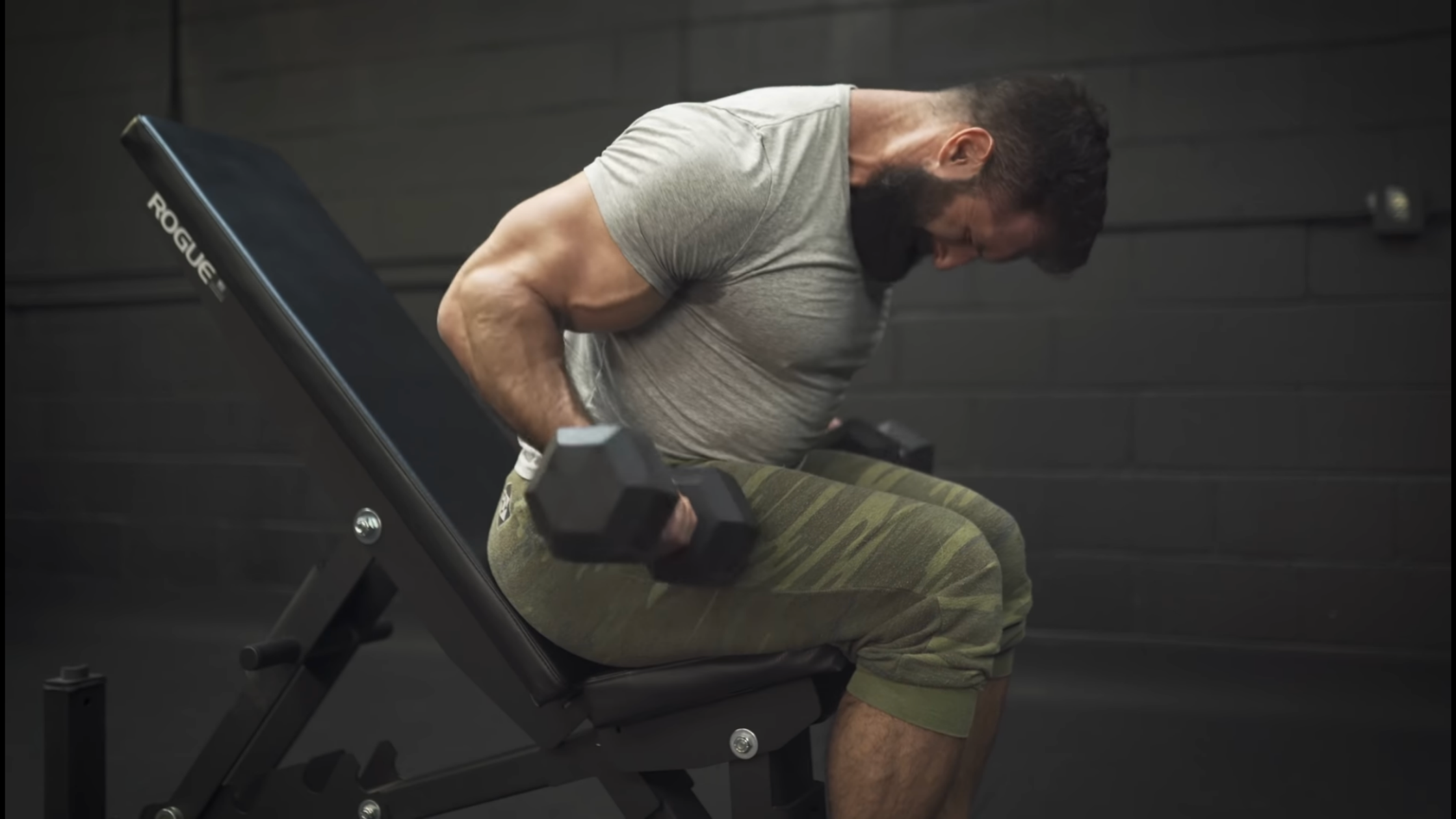 Best dumbbell arm shop workout for mass